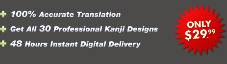 Kanji translation service only $29.99!