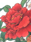 Camellia Sasanqua Stencil Designs