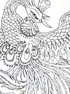 Phoenix & Asian Dragon Design Book